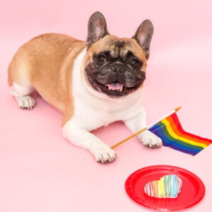 サンプル講座B（有料：ログインして受講）